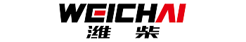 Weichai Hongji Technology Co., Ltd.